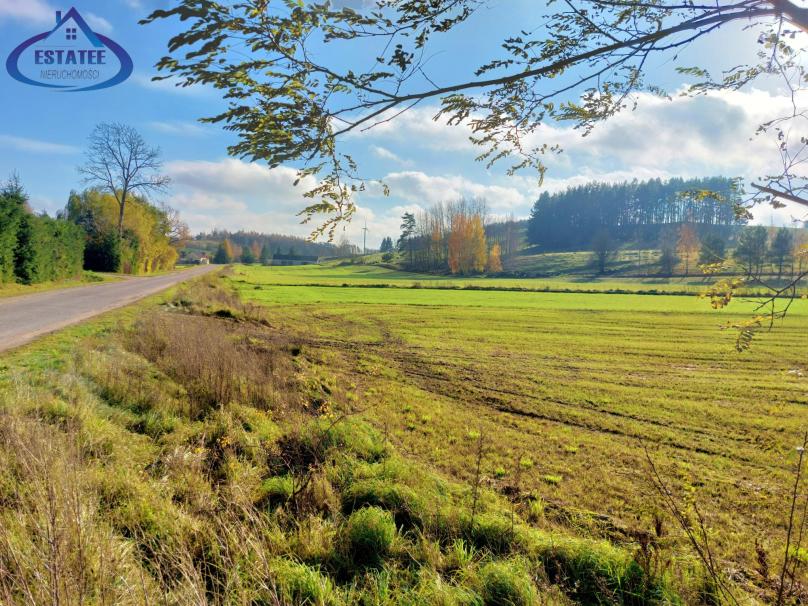 Biała Woda, gm. Suwałki (0.3001 ha) - Działka na sprzedaż 