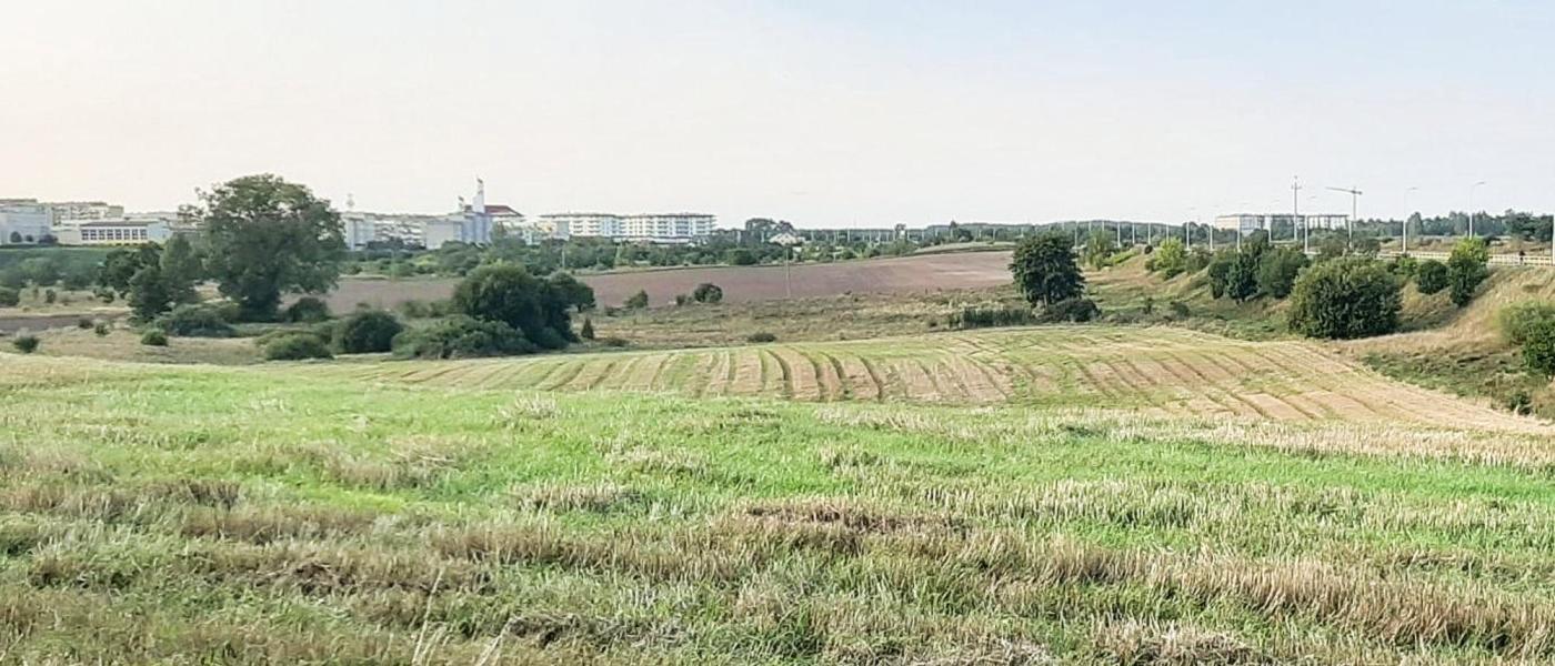 ul. Różana, ..