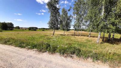 Suchodoły gm. Jeleniewo 0,3000 ha, działka na Sprzedaż