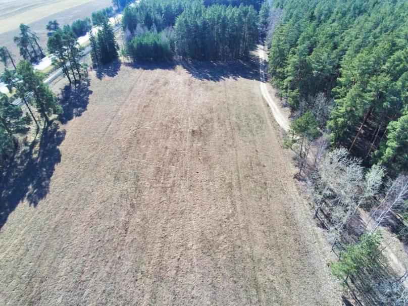 Działki 4160 m² – Okuniowiec, gm. Suwałki
