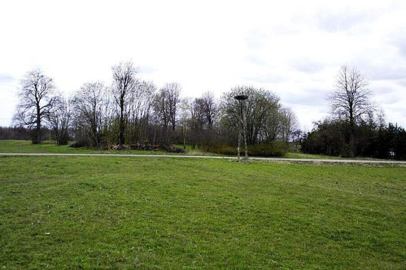 Działka budowlana - starodrzewa, nasadzenia Żyliny