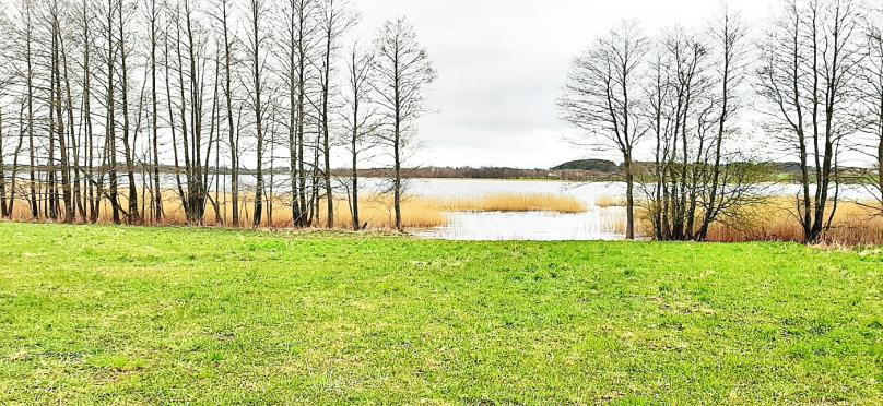 Wiżajny, działka - Suwalszczyzna.