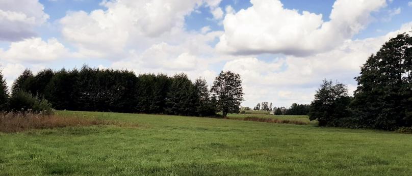 Bakałarzewo, działka rolna 1,3413 ha – Okazja