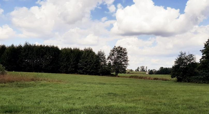 Bakałarzewo, działka rolna 1,3413 ha – Okazja