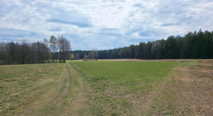 Maćkowa Ruda gm. Krasnopol - działka rolna 2,7776 ha