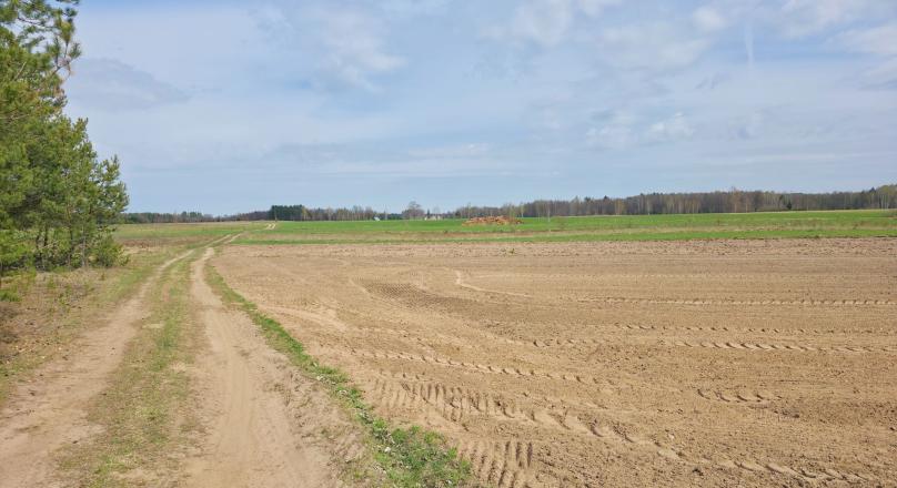 Maćkowa Ruda gm. Krasnopol - działka rolna 2,7776 ha