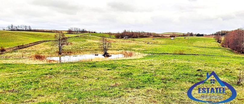 Wiżajny, działka z linią brzegową- Suwalszczyzna.