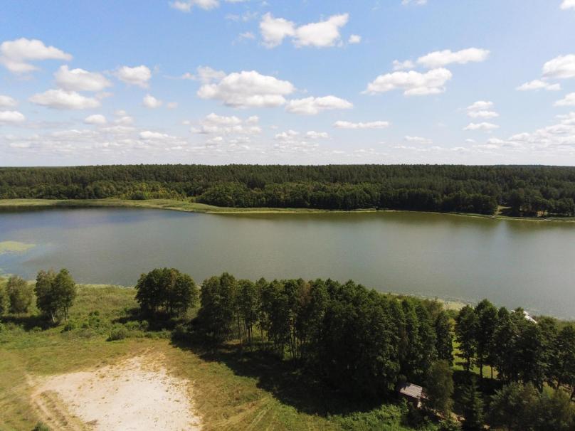 Działka pod zabudowę, 1,5 ha Dubowo gm. Sejny