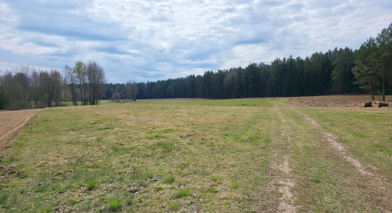 Maćkowa Ruda gm. Krasnopol - działka rolna 2,7776 ha