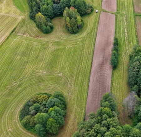Babańce, gmina Sejny, działki rolne z linią brzegową rzeki Marycha