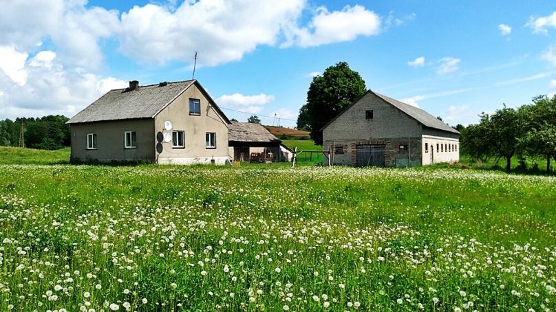Siedlisko wiejskie  4.48ha Filipów