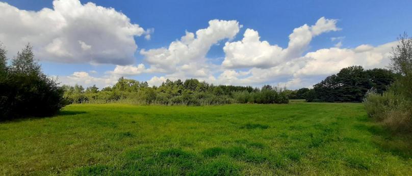 Bakałarzewo, działka rolna 1,3413 ha – Okazja