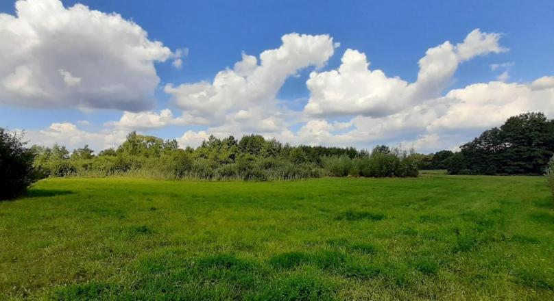 Bakałarzewo, działka rolna 1,3413 ha – Okazja