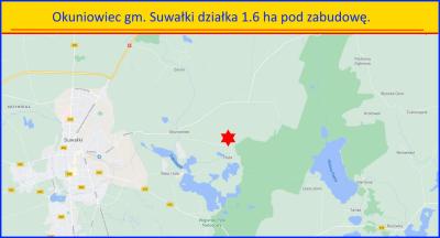 Okuniowiec gm. Suwałki działka 1.6 ha – pod zabudowę.