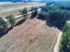 Działki 4160 m² – Okuniowiec, gm. Suwałki