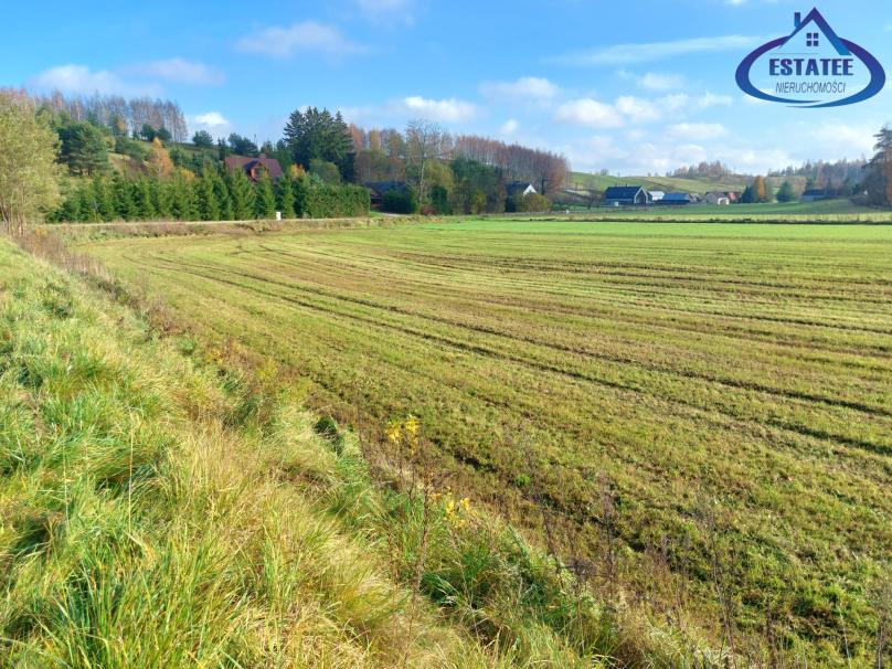 Biała Woda, gm. Suwałki (0.3001 ha) - Działka na sprzedaż 