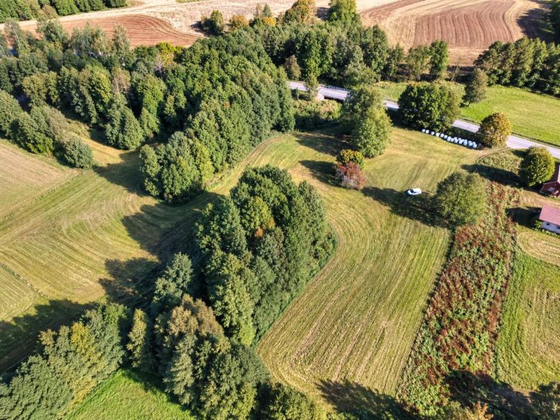 Marycha – Babańce, gmina Sejny - Działka rolna przy rzece 