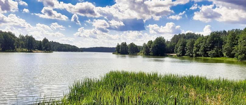 Działka budowlana, 0,5234 ha, Bakałarzewo