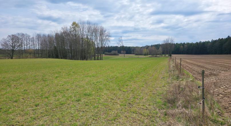 Maćkowa Ruda gm. Krasnopol - działka rolna 2,7776 ha