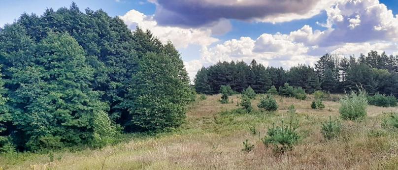 Działka budowlana, 0,5234 ha, Bakałarzewo