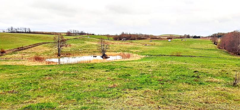 Wiżajny, działka - Suwalszczyzna.