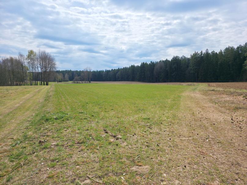 Maćkowa Ruda gm. Krasnopol - działka rolna 2,7776 ha