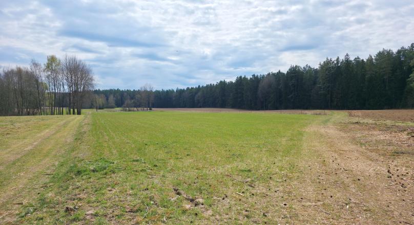 Maćkowa Ruda gm. Krasnopol - działka rolna 2,7776 ha