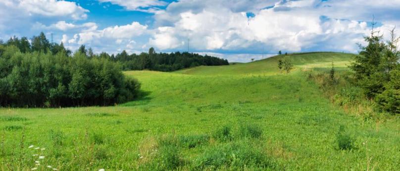 Dębowo gm. Szypliszki - działki pod zabudowę.