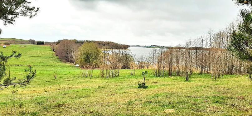 Wiżajny, działka - Suwalszczyzna.
