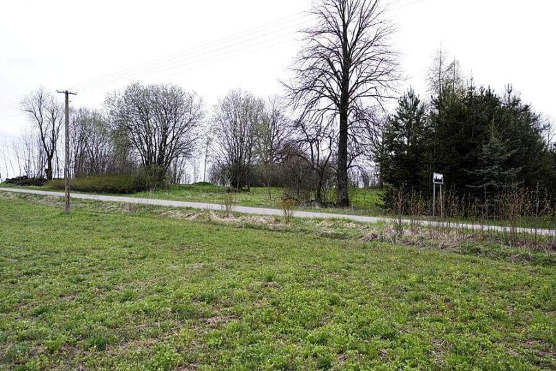 Działka budowlana - starodrzewa, nasadzenia Żyliny