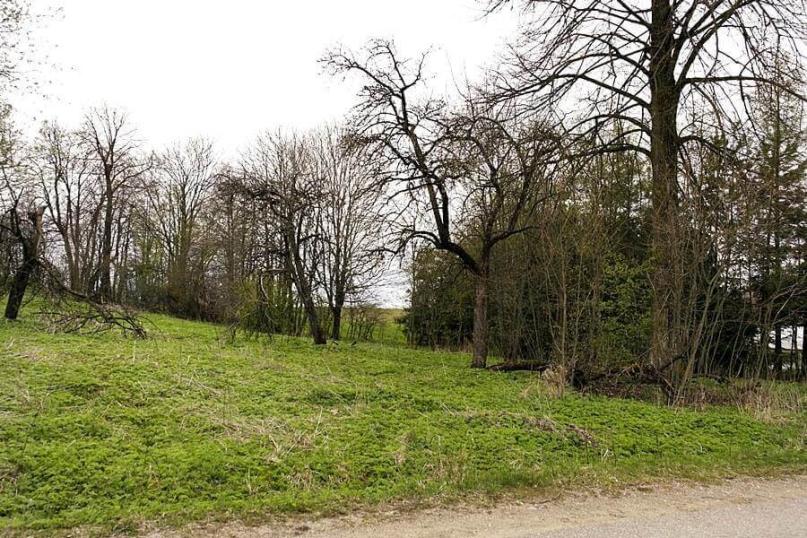 Działka budowlana - starodrzewa, nasadzenia Żyliny
