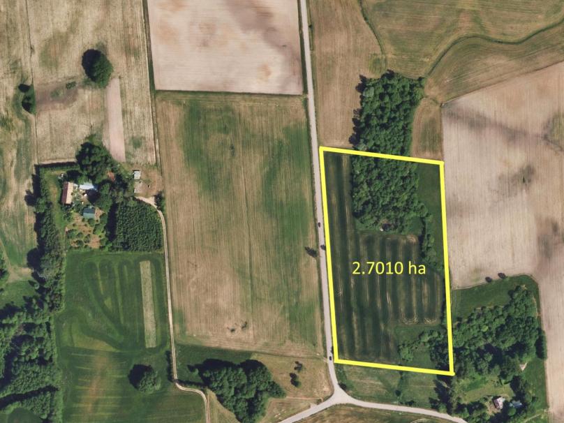 Działka pod zabudowę, Filipów – 2.7 ha.