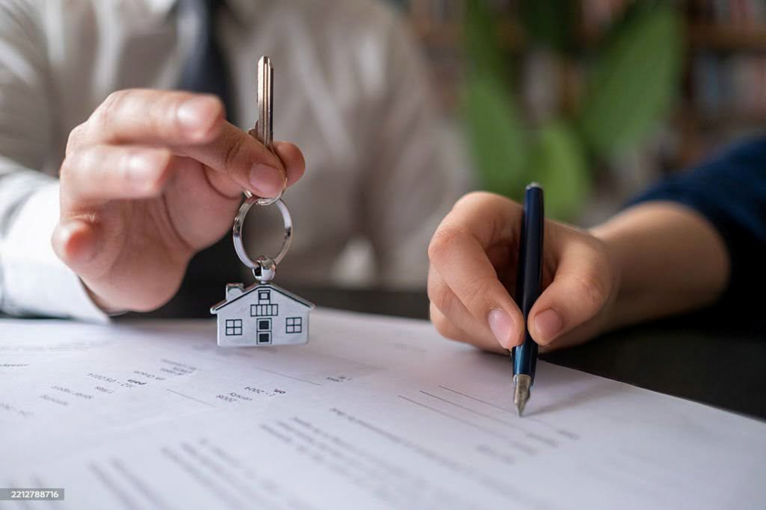 wynajem nieruchomości